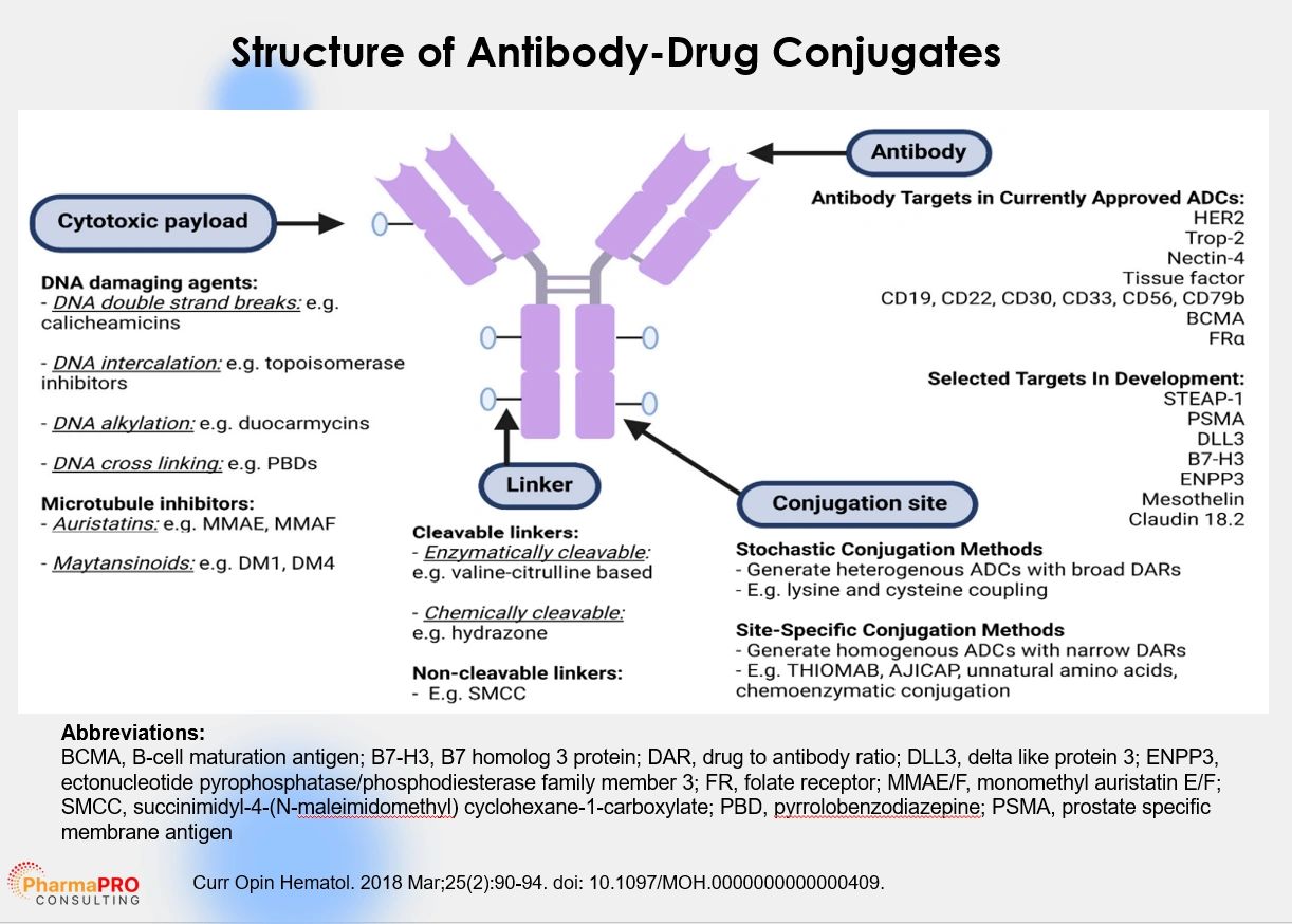 AntibodyDrug Conjugates